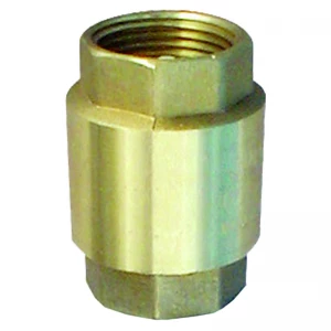 Brass check valve 1″
