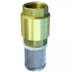 Brass check valve with 1″