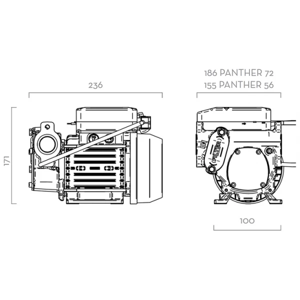 Pump! - Brief : Panther